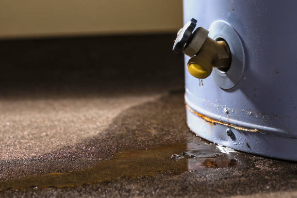 Best 24-hour water damage restoration  in Pepperdine University, CA