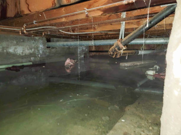 Best 24/7 water damage repair  in Pepperdine University, CA