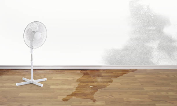  Pepperdine University, CA Water damage restoration Pros