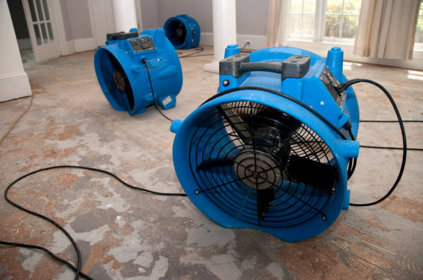 Reliable Pepperdine University, CA Water damage restoration Solutions