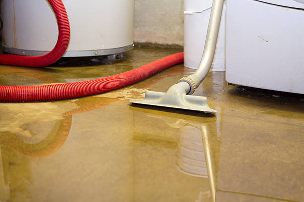 Sewage cleanup and water damage restoration in Pepperdine University, CA