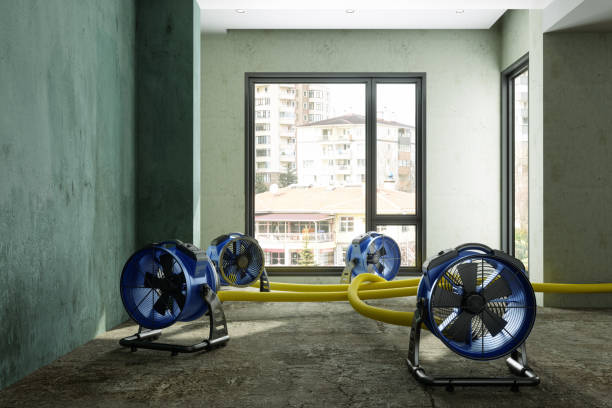 Water damage restoration mold remediation in Pepperdine University, CA