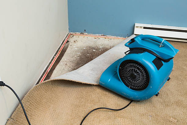 Best Water damage restoration services  in Pepperdine University, CA